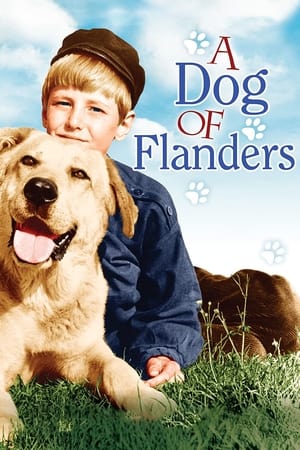 Poster A Dog of Flanders 1959