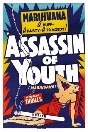 Assassin of Youth poster