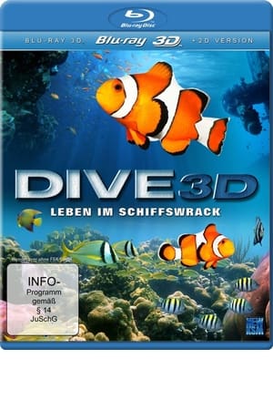 Dive 3D - Leben Im Schiffswrack