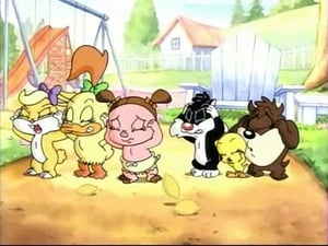 Baby Looney Tunes Business as Unusual