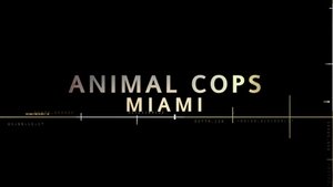 Animal Cops: Miami