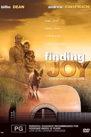 Poster Finding Joy 2003