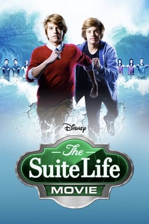 Poster Zack et Cody, le film 2011