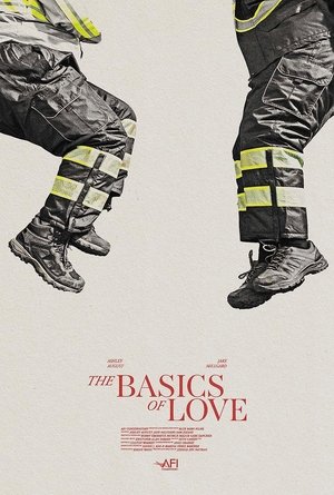 Poster The Basics of Love ()