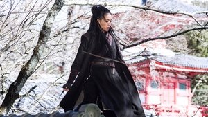 The Assassin (2015)