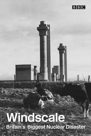 Poster Windscale: Britain's Biggest Nuclear Disaster (2007)