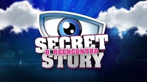 poster Secret Story - O Reencontro