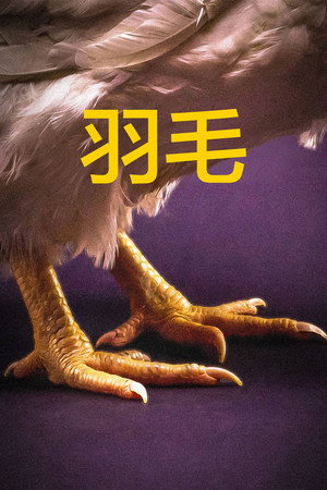 Feathers 19