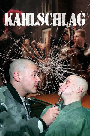 Kahlschlag 3