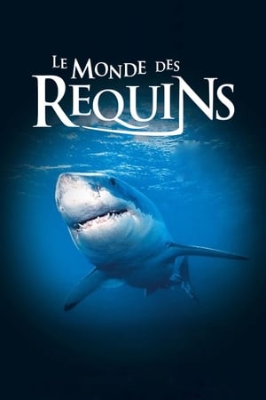 Poster Le Monde des requins 2004