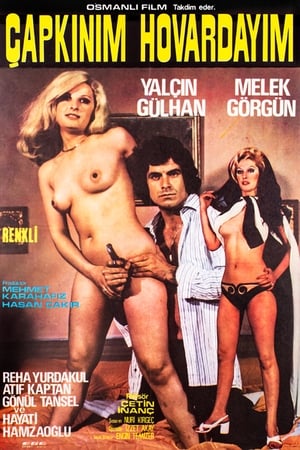Poster Çapkınım Hovardayım 1974