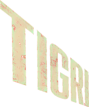 Los Tigres — Logos 3