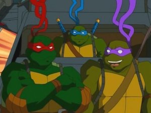 Teenage Mutant Ninja Turtles: 2×2