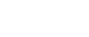 Stewie Griffin: The Untold Story