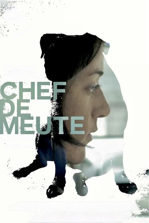 Image Chef de meute