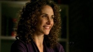 CSI: NY: 6×22