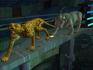 Beast Wars: Transformers: 1×11