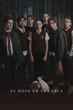 Poster di The Hole in the Fence