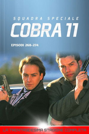 Squadra Speciale Cobra 11: Stagione 36