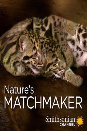 Nature's Matchmaker