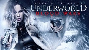 Images posters