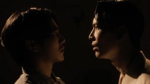 Shine Season 1 Episode 3 Free Download - FlexyFim
