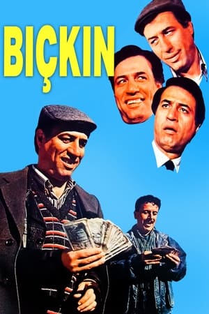 Poster Bıçkın (1988)