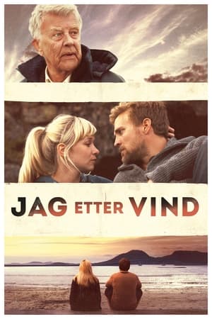 Poster Jag etter vind 2013