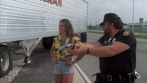 Miami Supercops (I poliziotti dell’8ª strada)