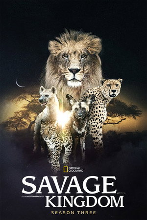 Staffel 3