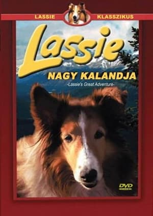 Poster Lassie nagy kalandja 1963