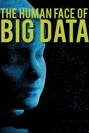 The Human Face of Big Data poster