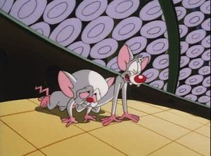 Pinky y Cerebro: 4×1