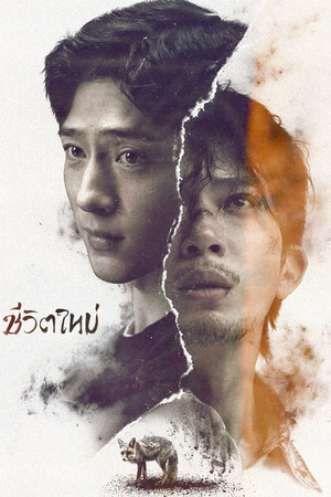 ชีวิตใหม่