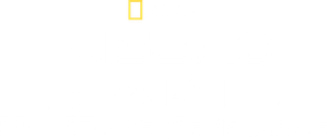 Perseverance Rover: Objetivo Marte — Logos 2