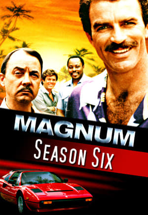 Magnum, P.I.: Seizoen 6