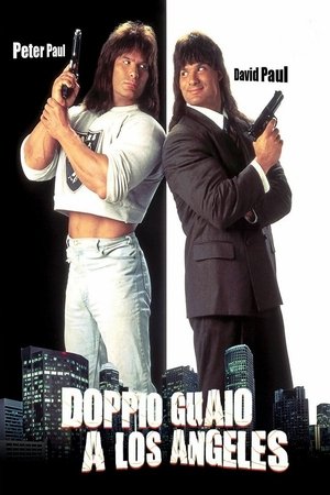 Image Doppio guaio a Los Angeles