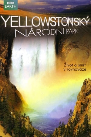 Image Yellowstonský národní park