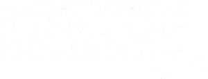 Предпоследняя инстанция — Logos 2