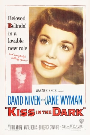 A Kiss in the Dark poster