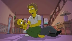 Die Simpsons: 31×20