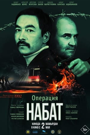 Операция «Набат» (2024)