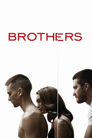 Poster Brothers 2009