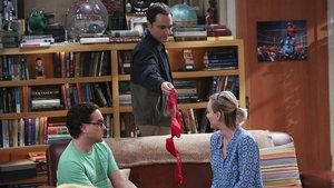 The Big Bang Theory 9 x 2