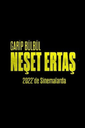 Image Garip Bülbül Neşet Ertaş