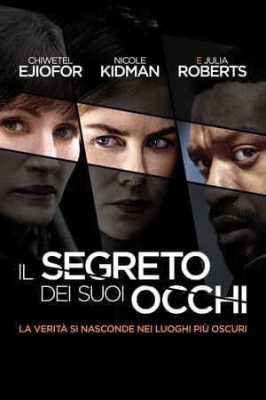 Il segreto dei suoi occhi (2015)