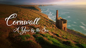 Cornwall: A Year by the Sea