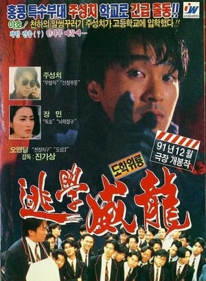 Poster 도학위룡 1991