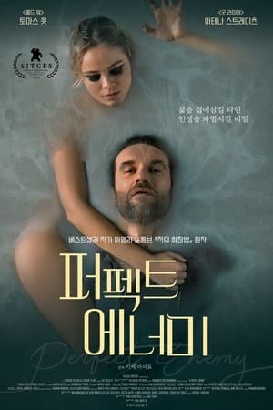 퍼펙트 에너미