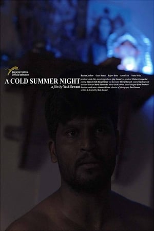 Poster A Cold Summer Night (2018)